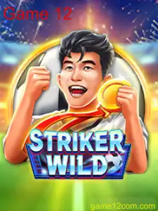 StrikerWILD: Uma Nova Era no Mundo dos Jogos com Game 12